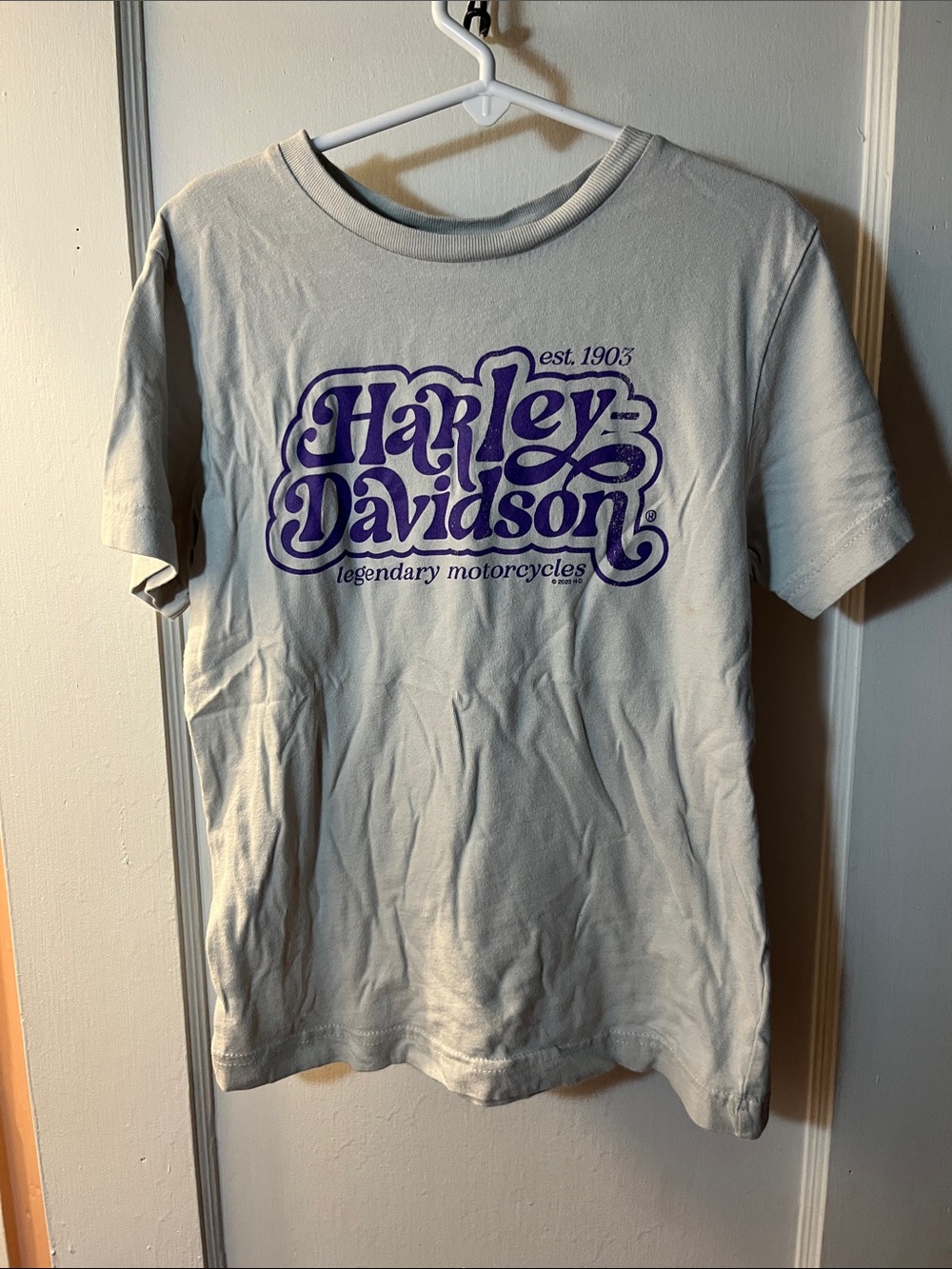 Harley-Davidson tan Short Sleeve Tee with Purple Logo